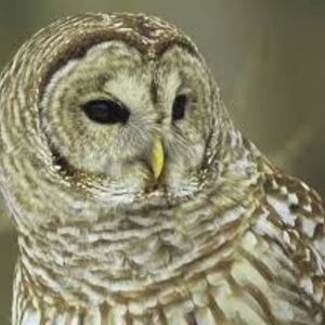 Meet your Posher, Eileen